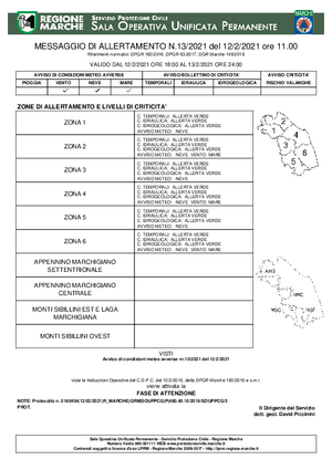 Messaggio Allertamento 13
